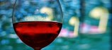 Spanish & Wine Culture