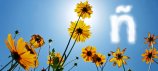 Summer courses for teachers of Spanish
