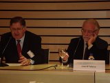 Ponencias (11)
