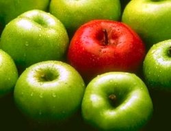 La manzana de la discordia